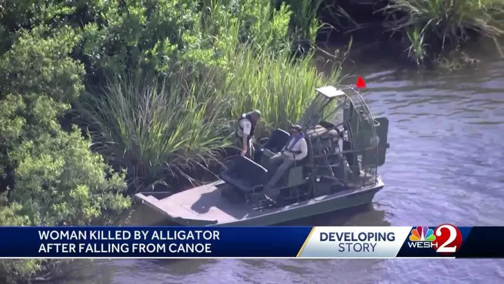 Florida woman thrown from canoe by thrashing gator, falls into water where she was attacked and killed