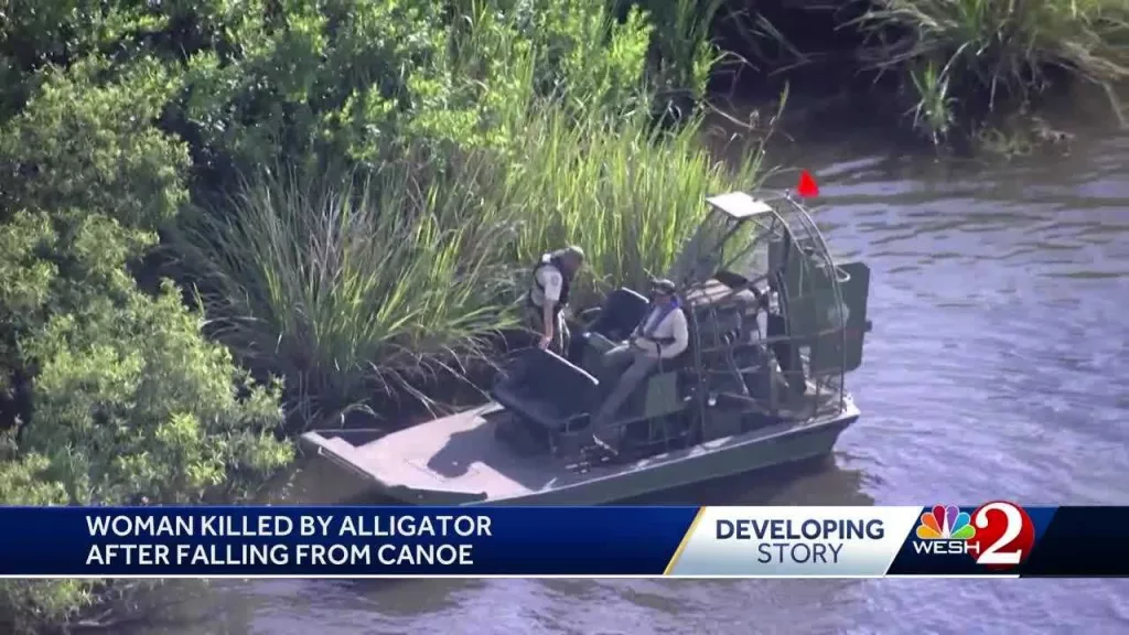 Florida woman thrown from canoe by thrashing gator, falls into water where she was attacked and killed
