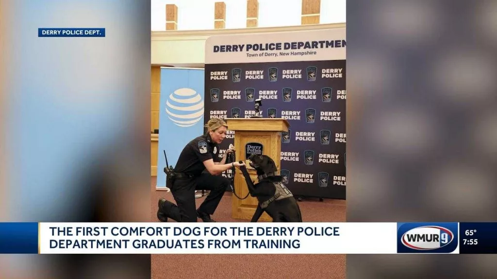 News We Love: Police comfort dog graduates from training