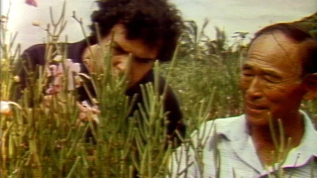 After losing nearly everything, this Hawaiian farmer turned to orchids.