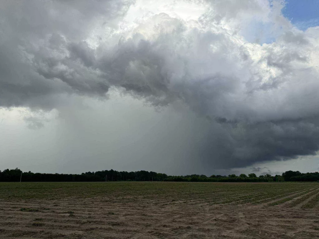 storm-hampton-co-68350a3ee0d10