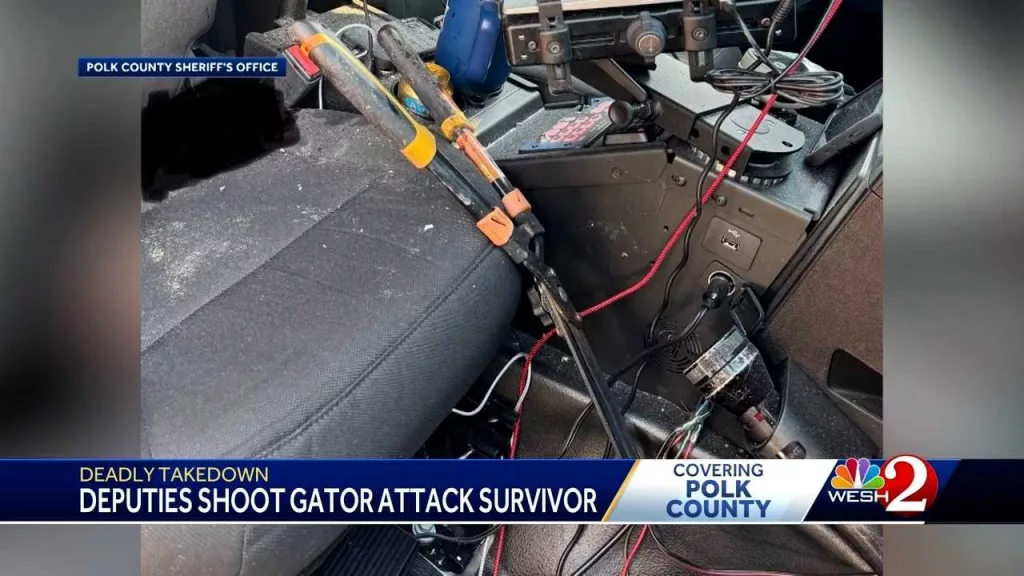 Florida man armed with garden shears survives gator attack before shot, killed by deputies