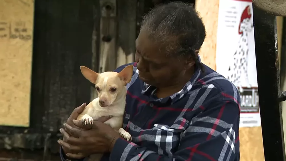 'That's my baby': Georgia dog celebrated for saving family from house fire