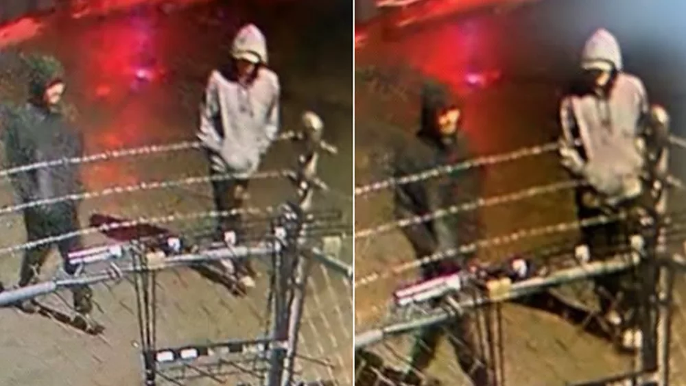 Effingham County deputies seek help identifying suspects in gas station burglary attempt