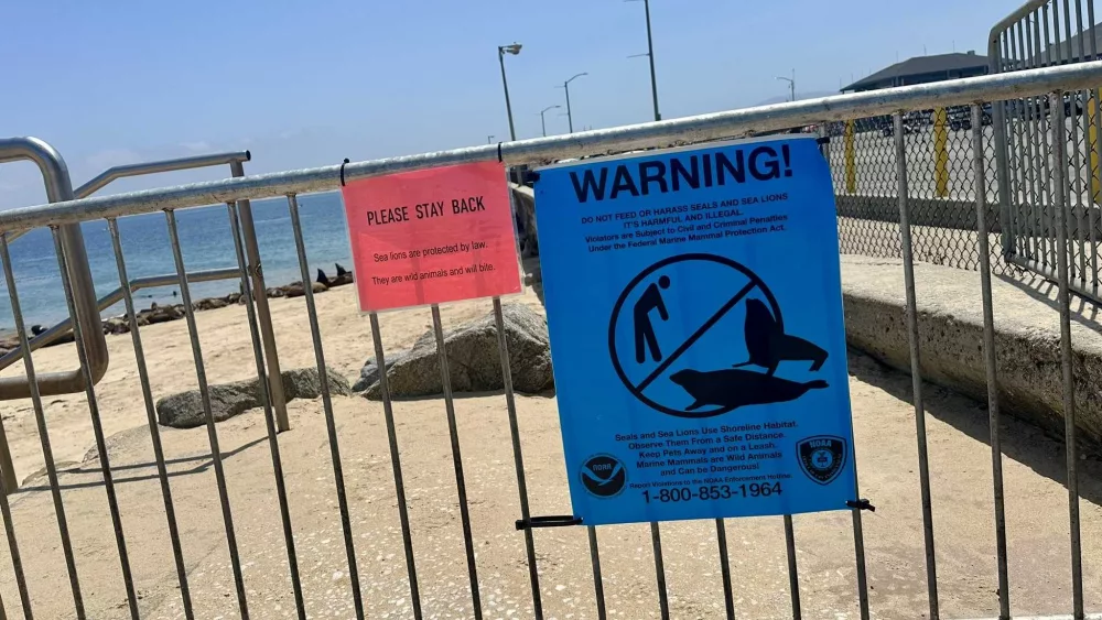 A California beach is closed due to sea lion invasion