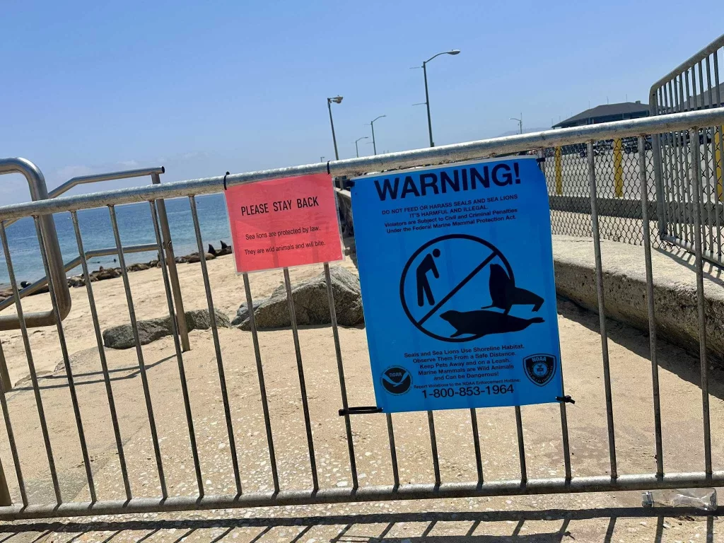 A California beach is closed due to sea lion invasion