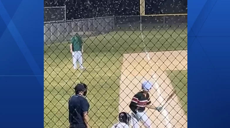 WATCH: Mayflies swarm Iowa high school baseball game