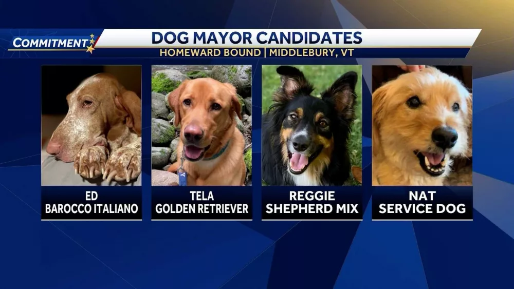A Vermont town will elect its first-ever dog mayor. Here are the candidates