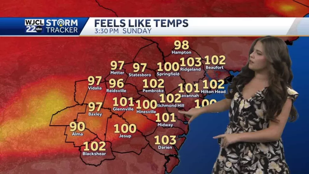 More storms on the way for Georgia and South Carolina this week. A look at the timing.