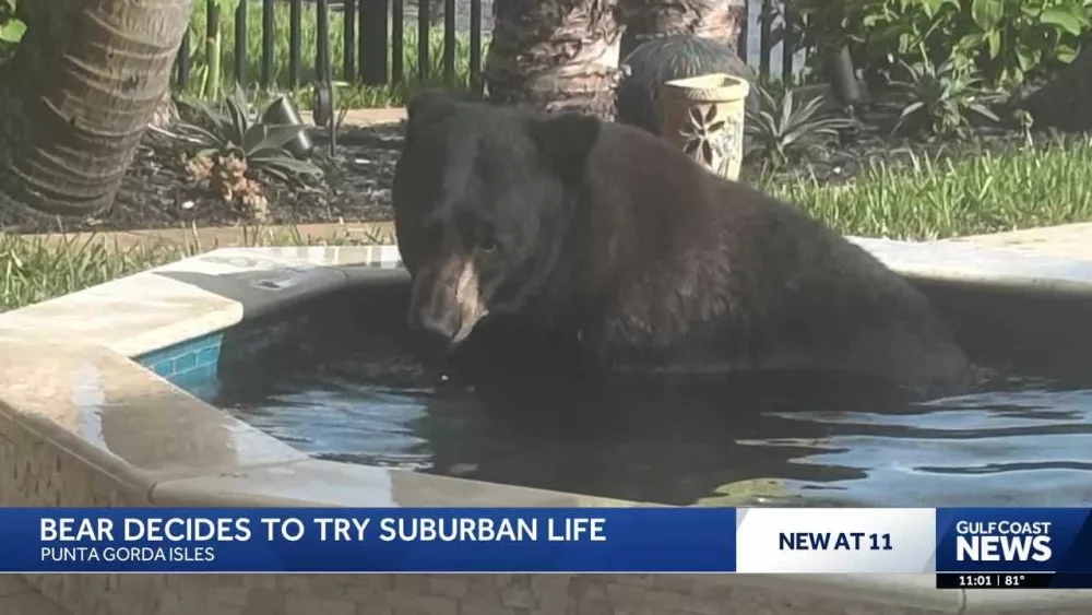 Watch: Videos you may have missed this week