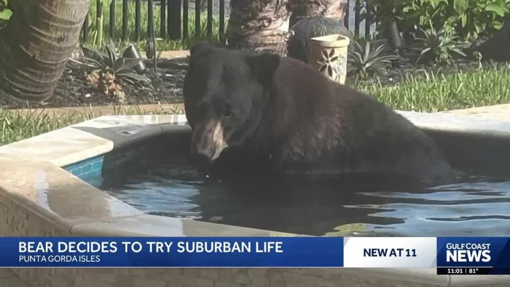 Watch: Videos you may have missed this week