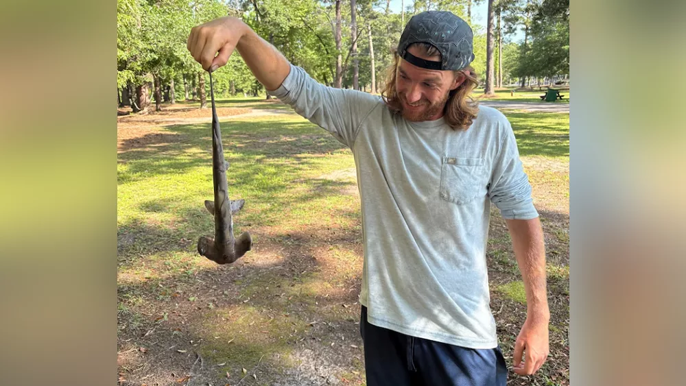 Hammerhead shark falls from the sky onto South Carolina disc golf course