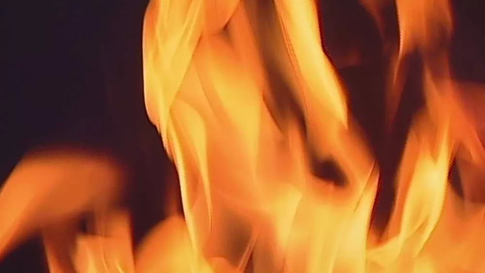 Police: Woman found dead in South Carolina home following fire