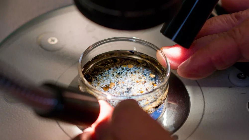 Highly microplastic-polluted US coastal waters linked to serious health risks, study finds