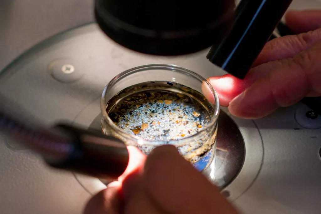 Highly microplastic-polluted US coastal waters linked to serious health risks, study finds