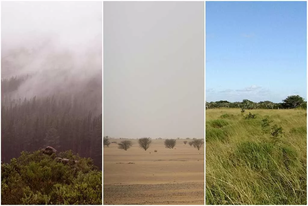 Early humans survived in a range of extreme environments before global migration, study says