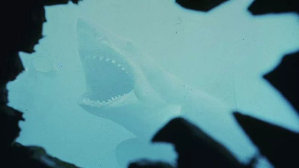 Think you know 'Jaws'? Test your knowledge with this trivia on the movie's 50th anniversary