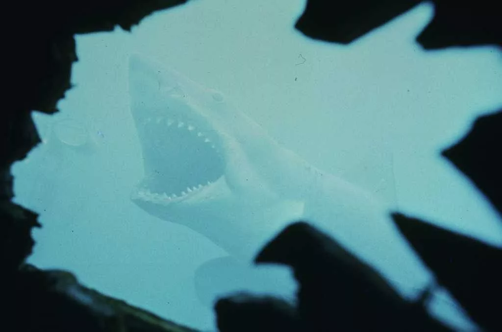 Think you know 'Jaws'? Test your knowledge with this trivia on the movie's 50th anniversary