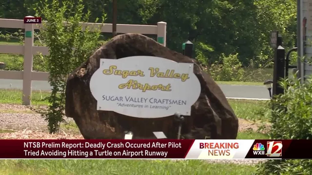 Pilot killed in small plane crash in North Carolina raised a wheel to avoid a turtle, NTSB says