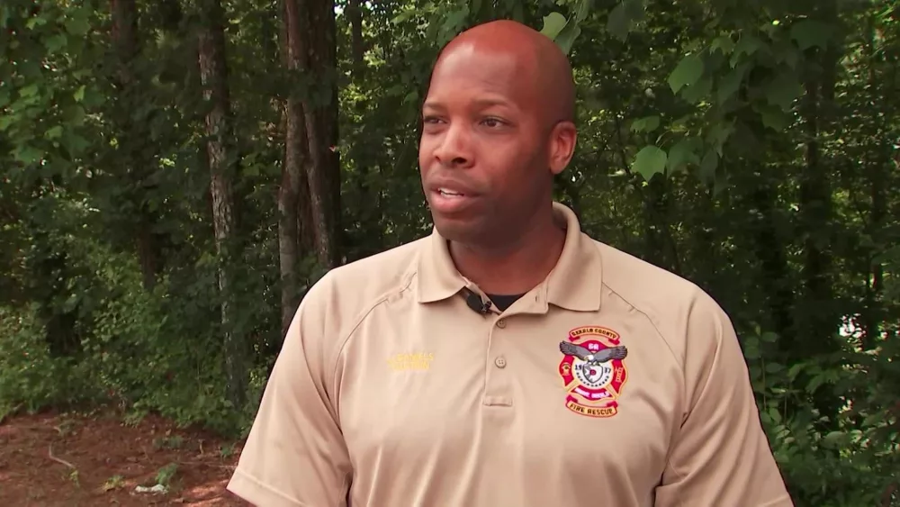 Fire officials rescue baby deer from mud pit
