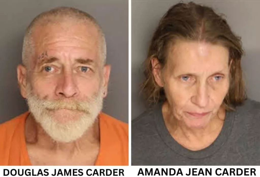 South Carolina man, woman arrested after 12 dogs found in 'extremely poor and dangerous conditions'
