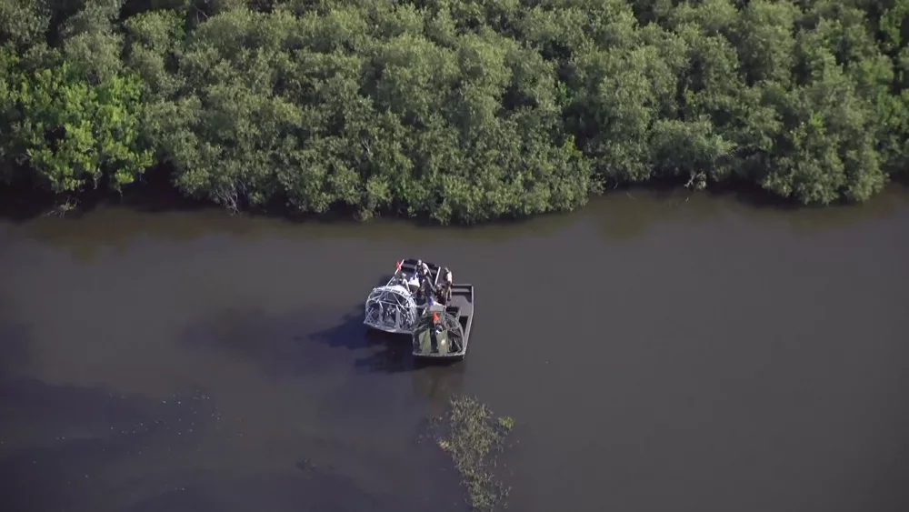 'Swam away with the victim': Report details 'thrashing gator' incident that left Florida woman dead