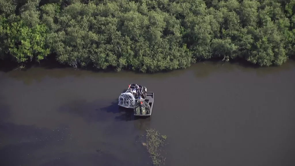 'Swam away with the victim': Report details 'thrashing gator' incident that left Florida woman dead
