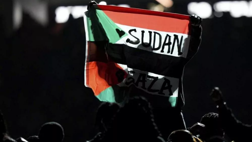 Super Bowl halftime performer charged for running on field with 'Sudan and Free Gaza' flag
