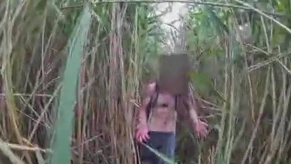 Video: Missing man and two pets rescued from swamp