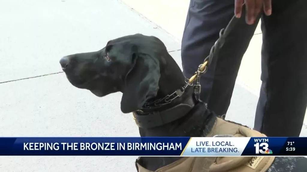 'She did an amazing job': Cop and K-9 add to Team USA's wins for World Police and Fire Games
