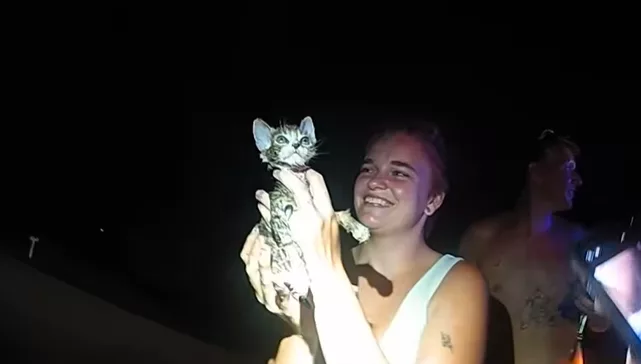 Watch: Kitten rescued from pipe earns new name