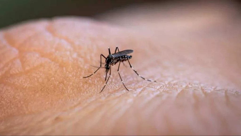 Switzerland issues first approval for anti-malaria drug for infants