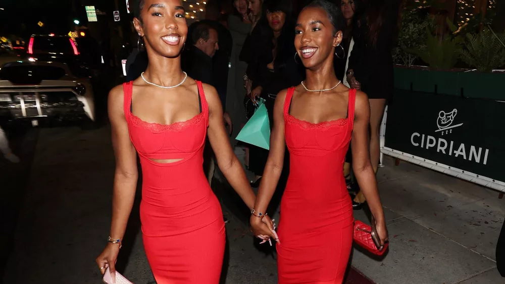 Sean 'Diddy' Combs' twin daughters are launching a fashion line