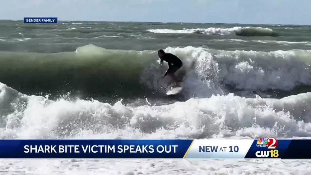 Shark attack victim released from hospital, vows to surf again