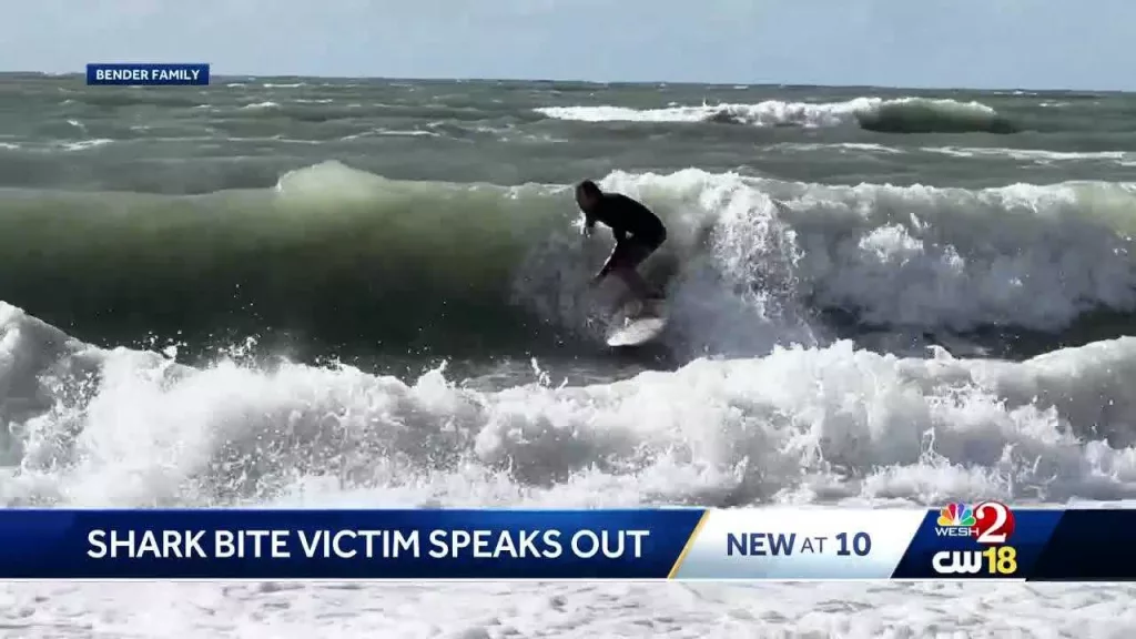 Shark attack victim released from hospital, vows to surf again