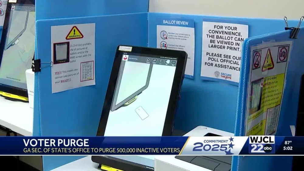 Georgia removes nearly 500,000 "inactive" voters from rolls