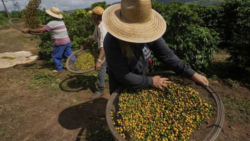 President ﻿Trump’s tariff threats could raise prices on coffee, orange juice, and more