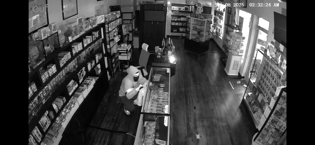 pokemon-robbers-687007e1425b7