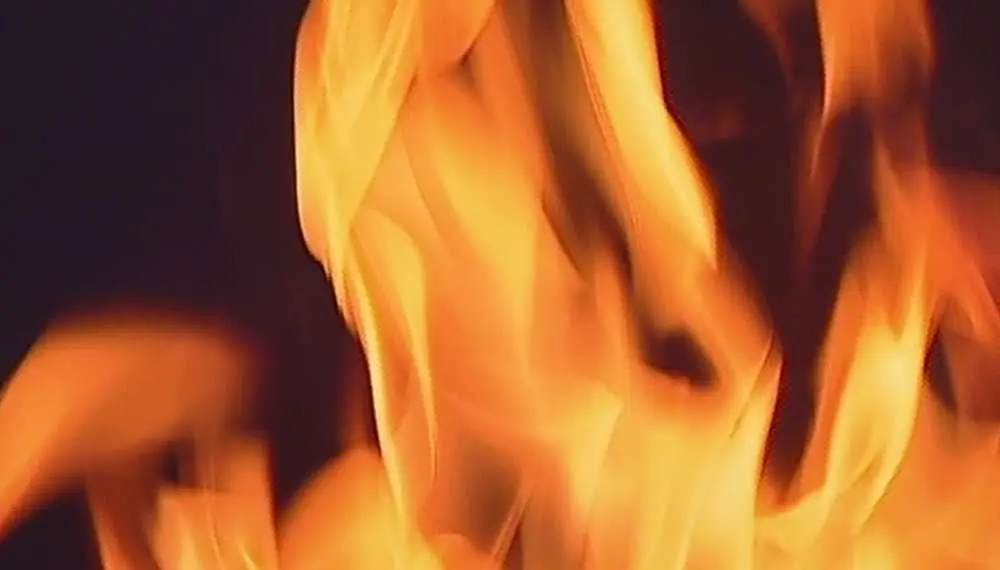 Fire crews respond to blaze at industrial warehouse in Port Wentworth