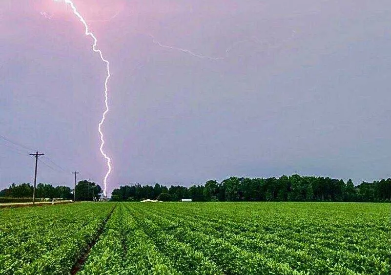 Officials: 2 people killed by lightning strikes as storms batter Southeast Georgia