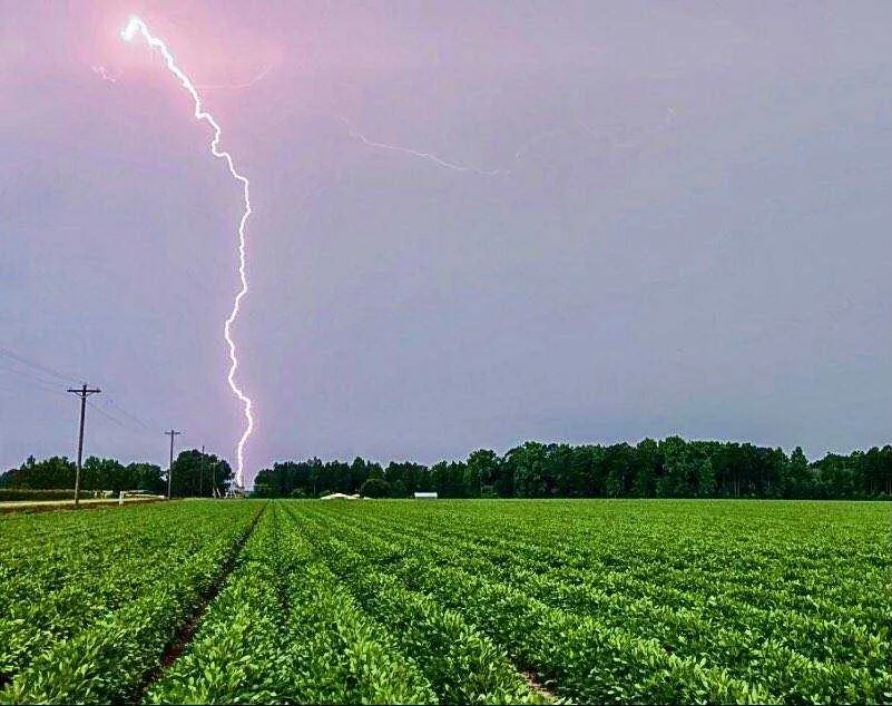 Officials: 2 people killed by lightning strikes as storms batter Southeast Georgia