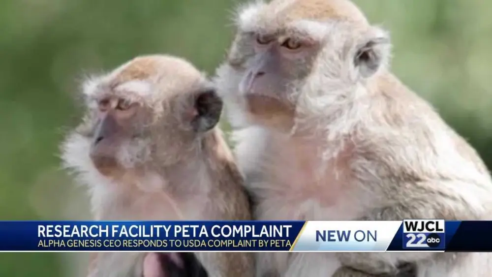 PETA condemns Beaufort County facility after USDA report on primate deaths, escapes
