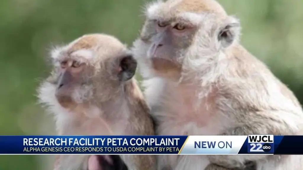 PETA condemns Beaufort County facility after USDA report on primate deaths, escapes