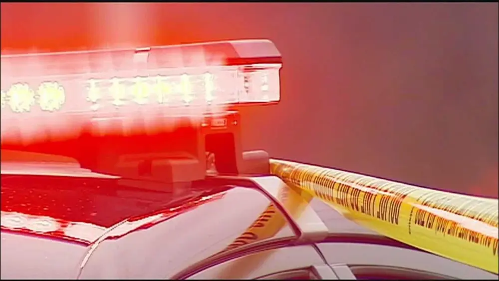 Vehicle drives into crowd in Los Angeles, injuring more than 20, LAFD says