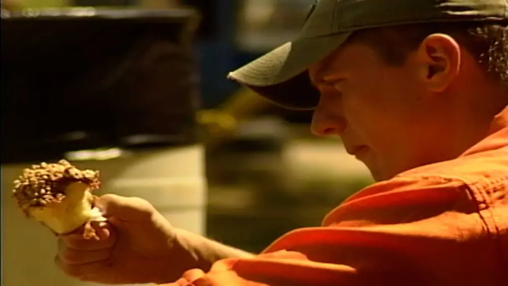 Family challenged to eat at every state fair food stand in 2001