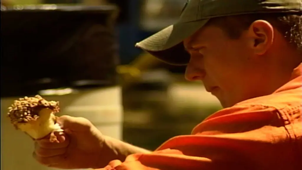 Family challenged to eat at every state fair food stand in 2001