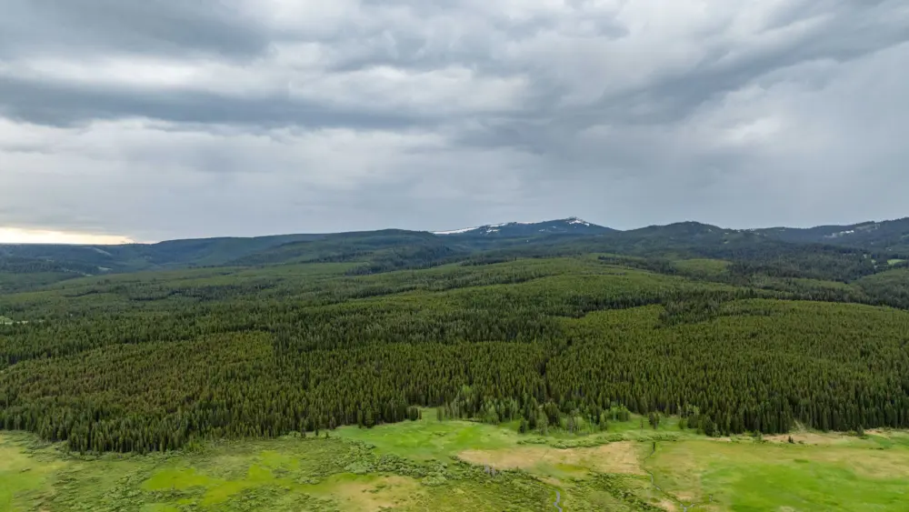 Smartwatch led rescuers to fatal plane crash in Montana woods