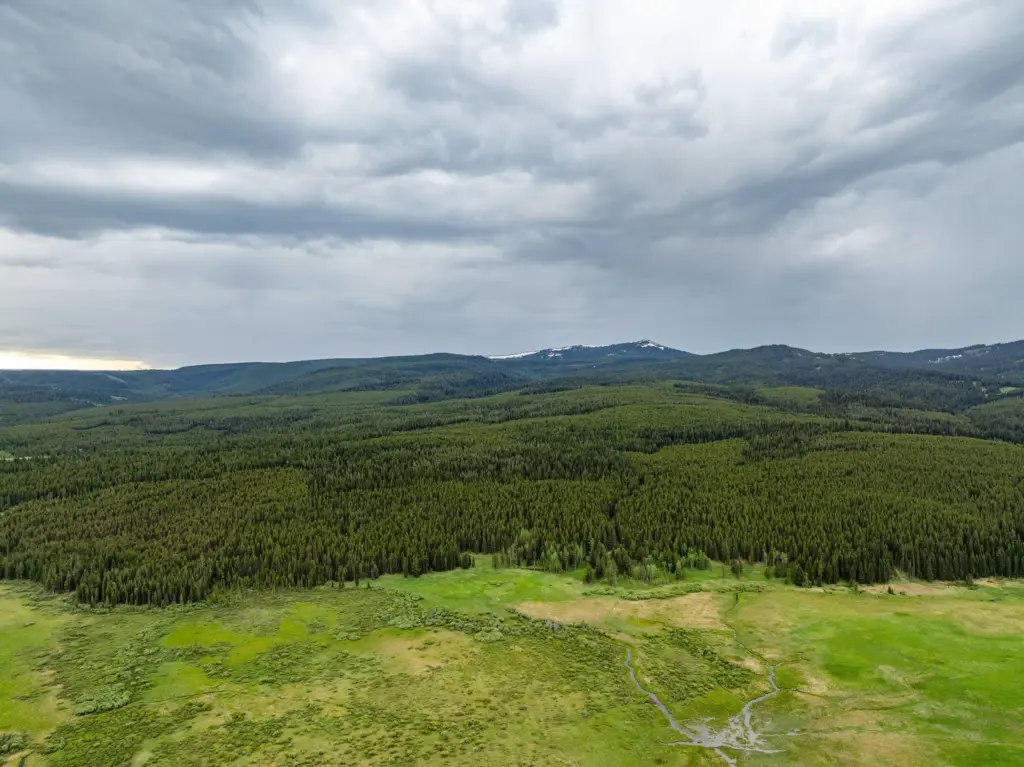 Smartwatch led rescuers to fatal plane crash in Montana woods
