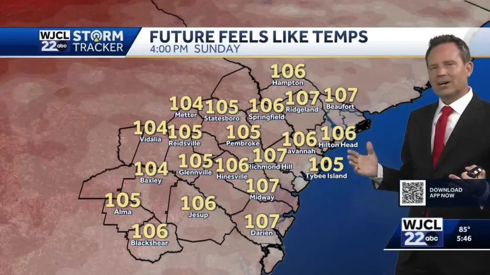 Heat wave on the horizon...the feels like temperatures for the Savannah area