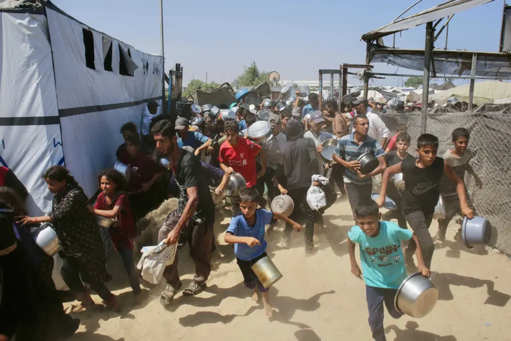 Aid workers, doctors, journalists risk starvation alongside people in Gaza